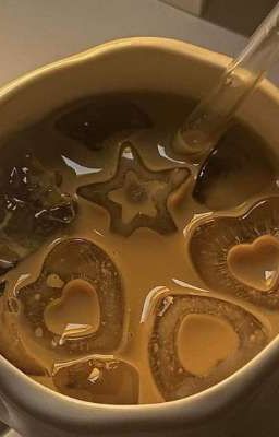 [ Cedwood ] Where stars fall