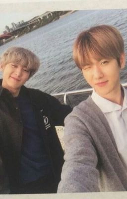 [CHANBAEK] Thuần Phục Cậu Vợ Bé Nhỏ