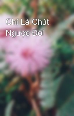 Chỉ Là Chút Ngược Đời