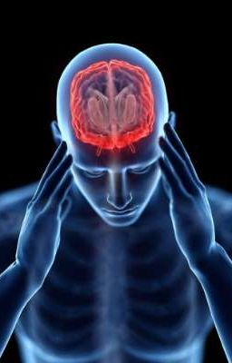 Chiếc não đầy bộ nhớ xấu đã được loại bỏ, thêm những điều ngọt ngào. 