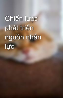 Chiến lược phát triển nguồn nhân lực