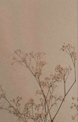 [Chifuyu × Takemichi] Ngọt