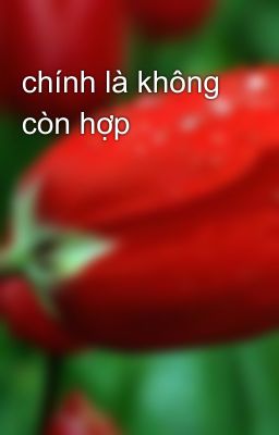 chính là không còn hợp