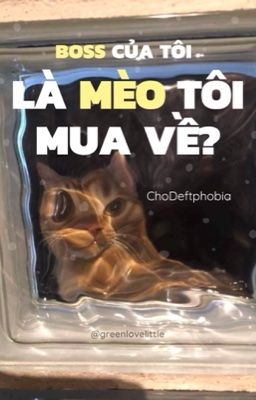 ChoDeft | Boss của tôi, Mèo của tôi