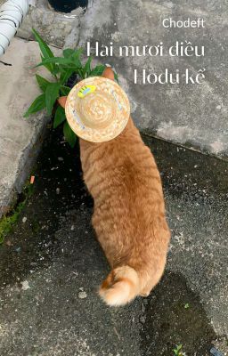 chodeft ✓ hai mươi điều hodu kể (nhật kí tình yêu)