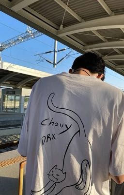 [ CHODEFT ] NHẬT KÝ NUÔI MÈO