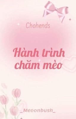 Chohends | Hành trình chăm mèo