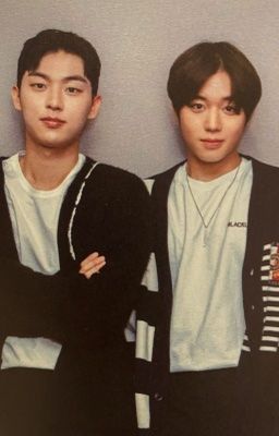 Choi Hyunwook x Park Jihoon || Tưởng gà hoá thóc