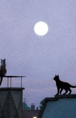 [Choker] Biển, cát trắng, chúng ta