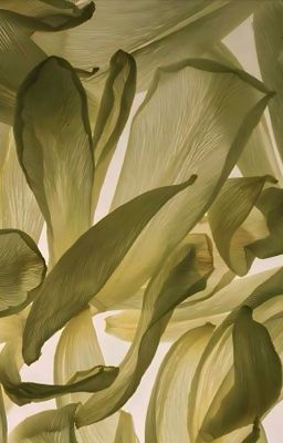 CHOKER ✧ HIATUS ✧ Dear my love,