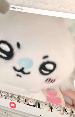  [Choker] nhà Jihoon có một bé mèo 𖦹°‧★( Đang Beta Lại🍀)