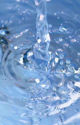 || Chonut || 4°C của nước 