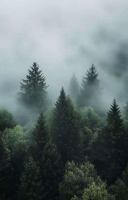 [Chonut] Không Được Khóc