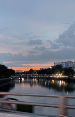 🐱 chovy | must have been the wind