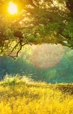 Chưa biết đặt gì, có thể là những gì mình đã đọc được trên MXH