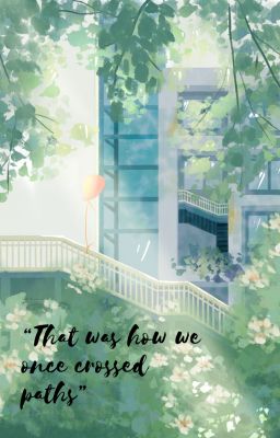 Chúng ta từng đi qua nhau như thế