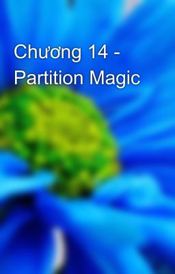 Chương 14 - Partition Magic