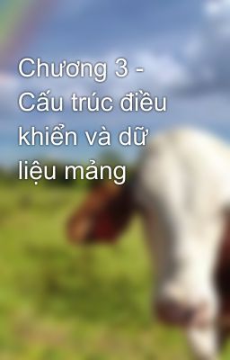 Chương 3 - Cấu trúc điều khiển và dữ liệu mảng