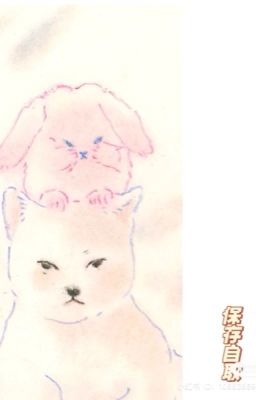 Chương không tiêu đề 1