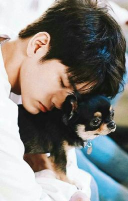 CHUYỆN CÔNG THỤ VÀ SHIP COUPLE TRONG WANNA ONE