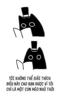 Chuyện đời của một kẻ tin người