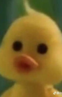 [CHUYỂN VER - BL] TIẾN SĨ LUẬT BỖNG XUYÊN THÀNH MINH TINH