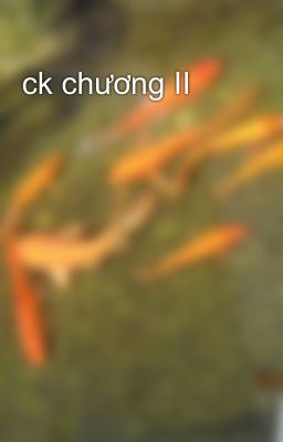 ck chương II