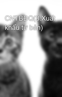 CNTBĐQ(3.Xuất khẩu tư bản)