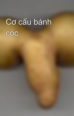 Cơ cấu bánh cóc