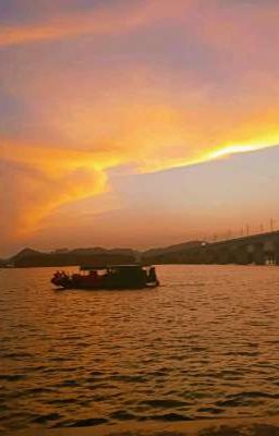 Cô Hai Lụa hãy gả cho em