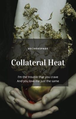 Collateral Heat | {Bakugo x OC}