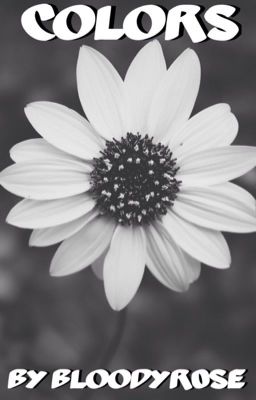 Colors | Warrior's Short Story