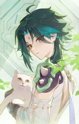 còn 30 ngày để yêu cậu | aether / xiao