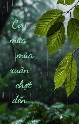 Cơn mưa mùa xuân chợt đến