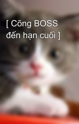 [ Cõng BOSS đến hạn cuối ]