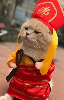 Cực Đạo Cổ Ma FULL