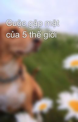 Cuộc gặp mặt của 5 thế giới