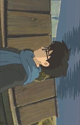 cường long; tràn bộ nhớ