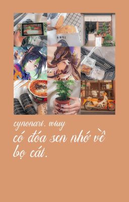 【CynoNari】Có đóa sen nhớ về bọ cát