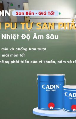 Đại Lý Phân Phối Sơn Pu Đa Năng Không Cần Lót Cadin Giá Rẻ Hàng Chính Hãng