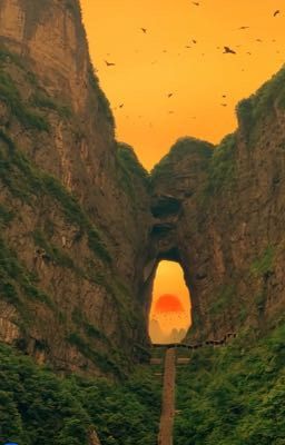 [ Đam Mỹ] Xuyên vào mạt thế tui húp luôn nam thần lúc nào không hay