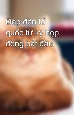 Đáp đền tổ quốc từ ký hợp đồng bắt đầu
