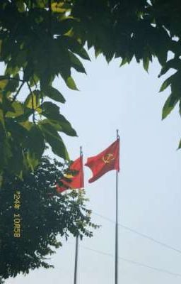 Đất Nước Có Đôi Ta