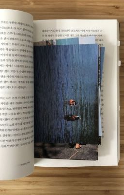defiko./một vần thơ.