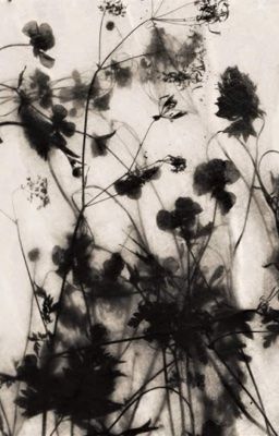 di chỉ khuyết ngày.