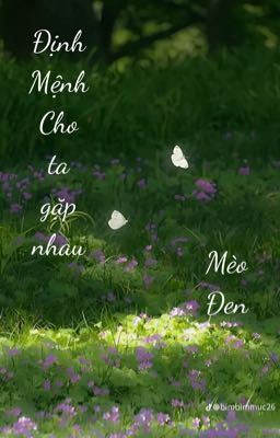 Định Mệnh Cho Ta Gặp Nhau