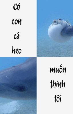 [ĐM] Cá heo - Tiêu Đường Đông Qua (Hoàn tất)