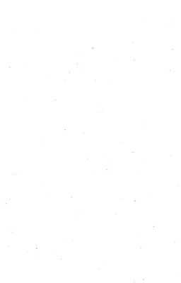 [ĐM] Chập tối tuyết chực rơi - Vọng Nha (Ngừng)