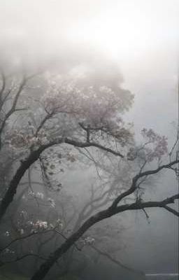 dmtv | không xứng?