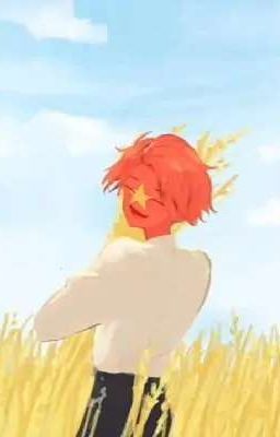 (ĐN Countryhumans) All(Vietnam Trung Tâm)(Non-cp); Điều Hối Tiếc.